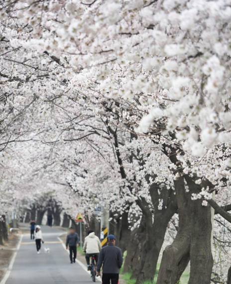 사진-김포시 제공