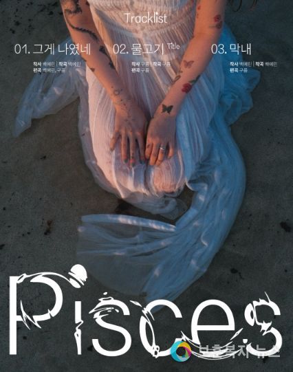 백예린, 싱글 ‘물고기’ 새 싱글 앨범