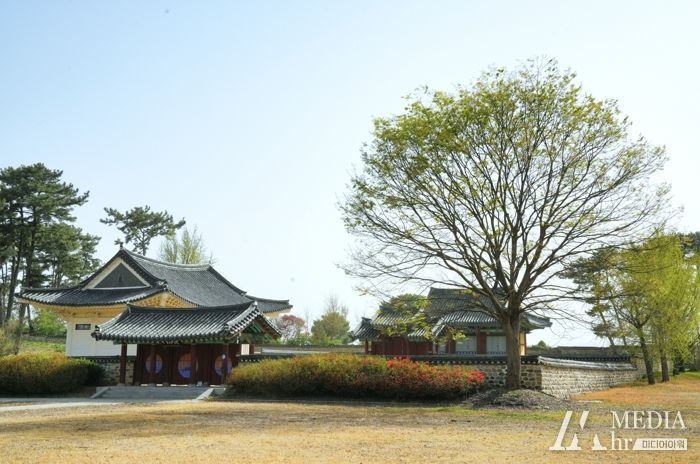 인생샷 성지 익산 용안에서 천혜의 자연 즐겨라!