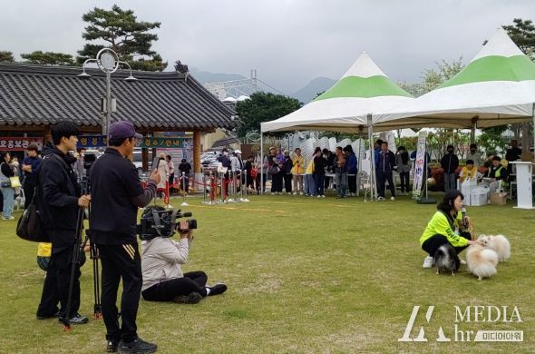 화순군은 2023화순 고인돌 축제의 부대행사로 반려동물 경연대회인 ‘화순 봄날 펫스티벌’을 개최했다. 사진은 펫스티벌 프로그램인 댕댕이 운동회와 반려동물 장기자랑의 모습.