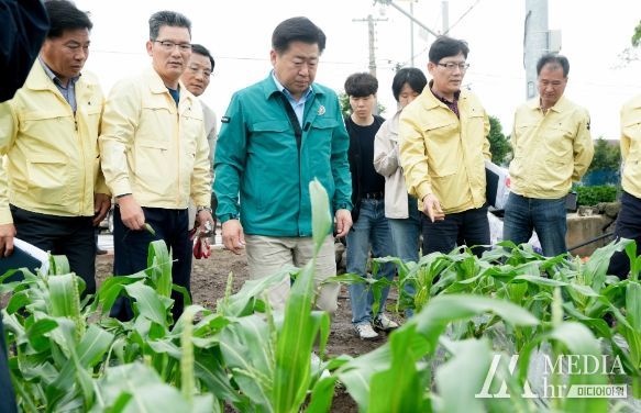 농작물 피해현장 방문 하가리 초당옥수수