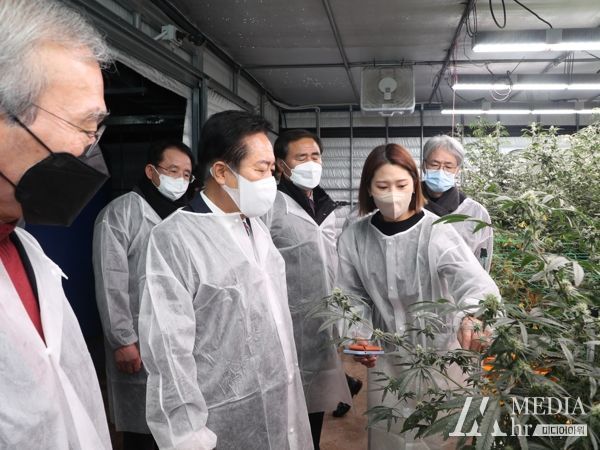 안동시,'산업용 헴프 글로벌 혁신특구'유치 총력