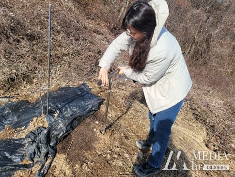 공익직불제 화학비료 이행점검을 위한 토양시료 채취를 하는 모습