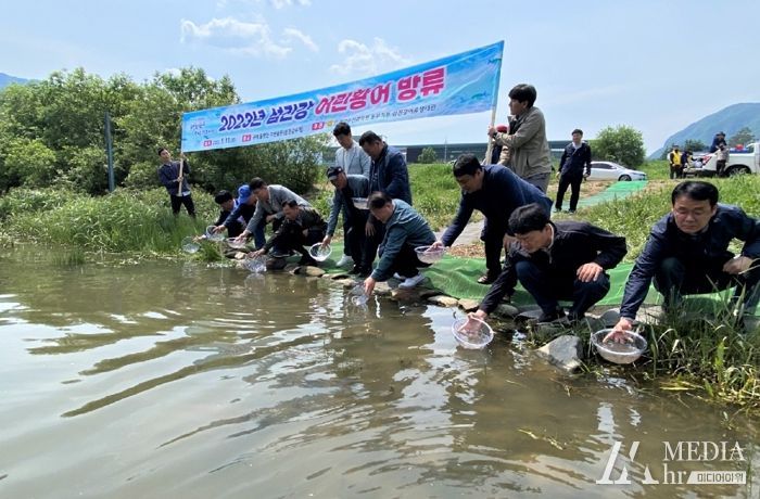 황어 방류 행사
