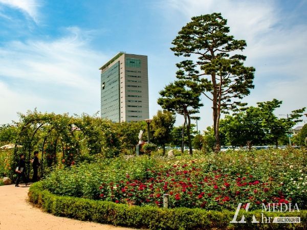 “광주광역시청 장미원서 꽃향기 즐겨요”