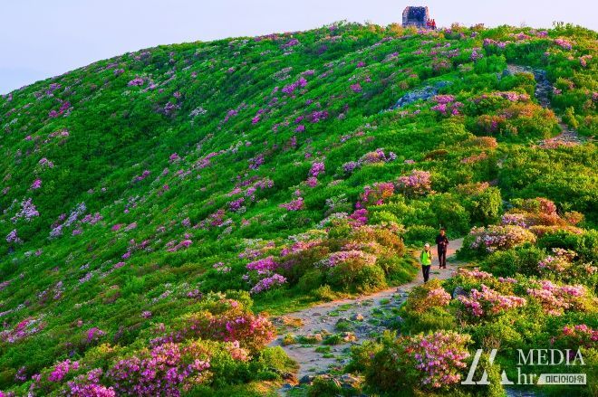 2023년 태백산 철쭉 전국 등반대회 개최