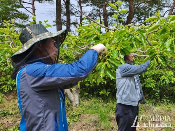 사천시, 봄철 농촌일손돕기 본격 추진