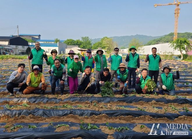 장흥면 새마을회, 이웃돕기 기금 마련 고구마 심기