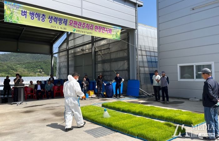 모판관주처리 현장연시회 장면