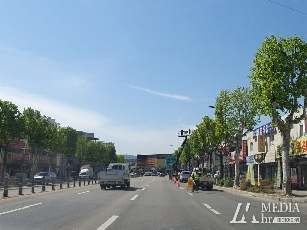 대전 대덕구가 민원 해소 및 특색있는 가로 경관 조성을 위해 가로수 정비에 나섰다. 사진은 가로경관이 정비된 오정동 한남오거리 일원.