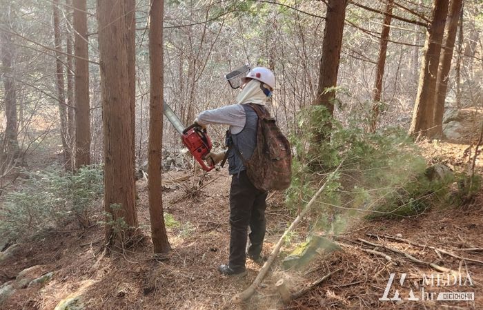 남원시, 산불예방 및 공익숲가꾸기 등 사업 추진