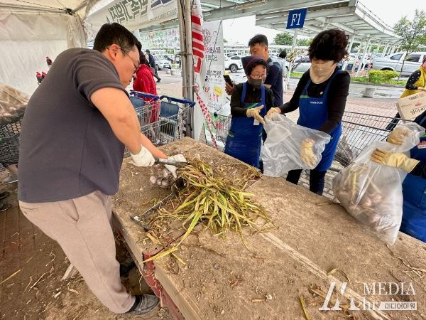 마늘 주대를 잘라주고 있다.