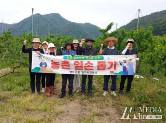 일자리경제과 직원들이 농촌 일손돕기에 나서고 있다.