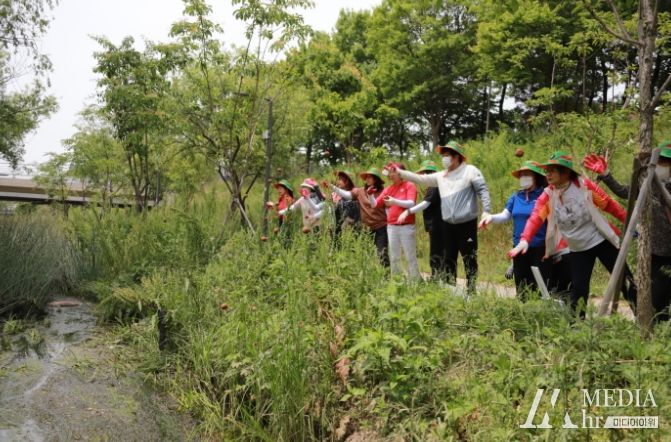 시흥시 정왕2동, 군자천 청청(靑淸) 프로젝트로 하천 환경 보전 앞장