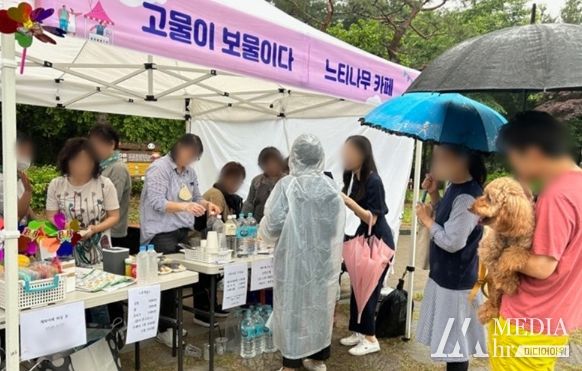 수원시 영통1동, 주민자치회 플리마켓 개최