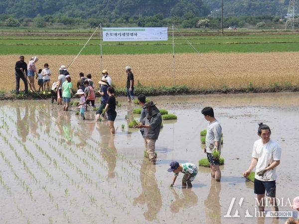 2022년 소비자 모내기 체험 행사 모습