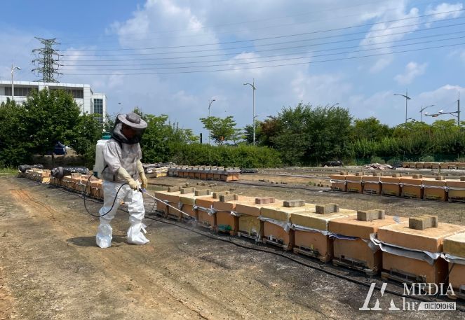음성군 양봉농가 꿀벌응애 공동방제 실시