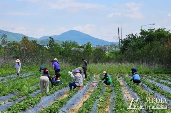 고양시 효자동 주민자치회, ‘함께 가꾸는 나눔 행복텃밭’ 제초작업 실시