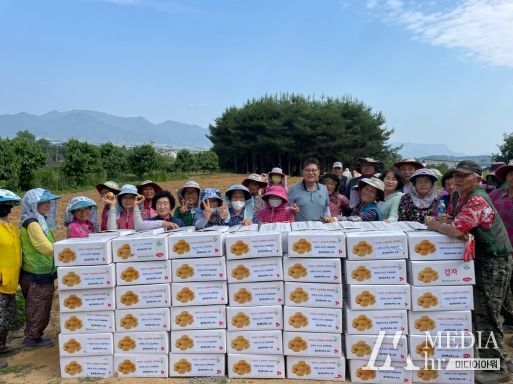 담양 봉산면, 직접 키운 하지감자로 훈훈한 나눔사랑 실천