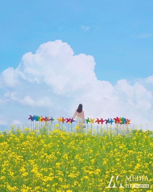 5.(금상)(봄에빛나는안성)