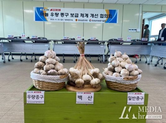 경남도, 마늘 우량 종구 보급 체계 개선 나선다