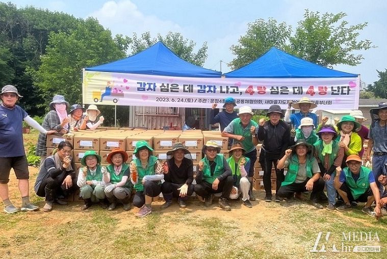 파주시 운정4동, 감자 캐기 행사 개최…어려운 이웃과 온정 나눠