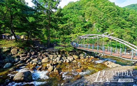 쉼표가 필요한 순간, 여름휴가는 충북으로