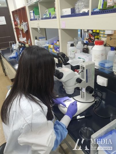 경북도, 인체교상 참진드기 동정 및 병원체 검사 실시