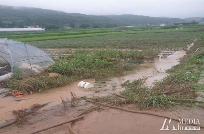 청양군, 장마철 피해 방지 농작물 관리 당부