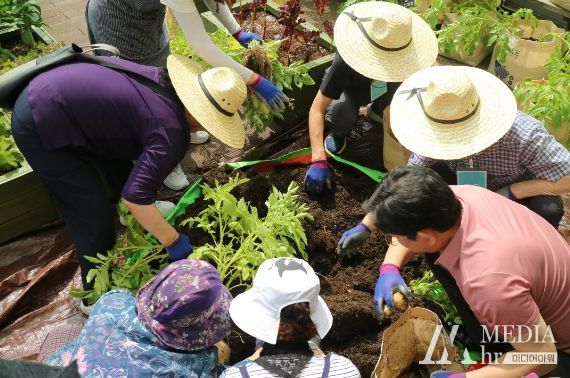 치유농업 프로그램 ‘유(愉).기.농’에 참여하는 시민들.