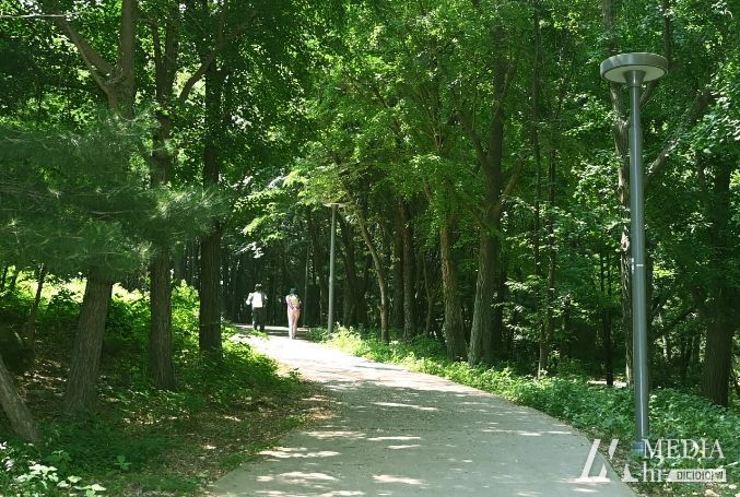 대유평공원과 이어지는 숙지산 보행로를 시민들이 걷고 있다.