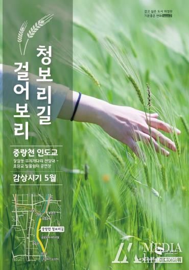 2024년 중랑천 청보리길 홍보 포스터