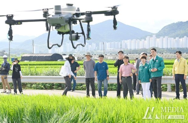 달성군, 벼 병충해 드론 방제 실시